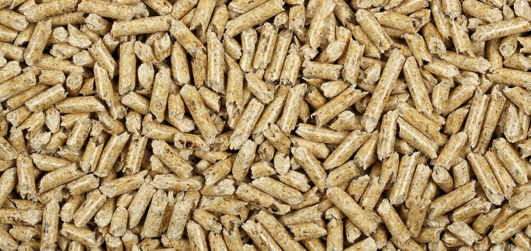 Training Quality Manager for Production of solid biofuels or wood pellets